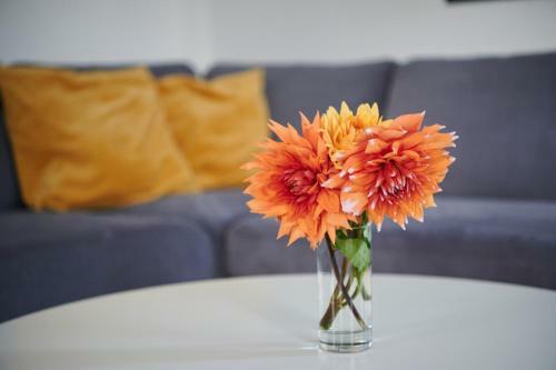 Apartamento Sonneneck Rerik