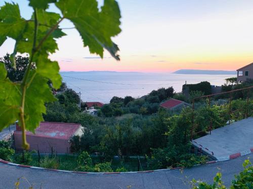 Villa Vicko