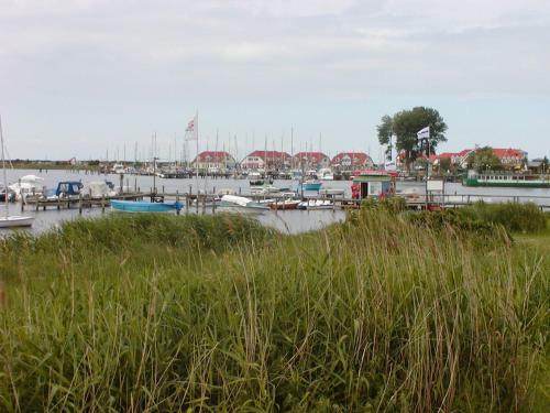 Apartamento Ferienwohnung Rerik