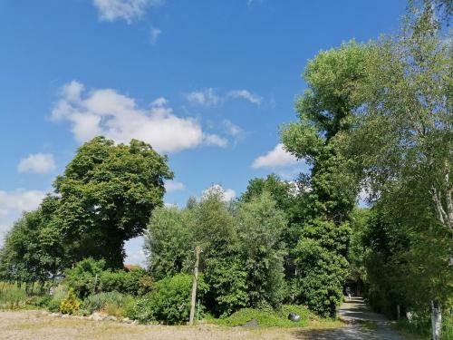 Apartamento Ferienwohnung Fr�hlich
