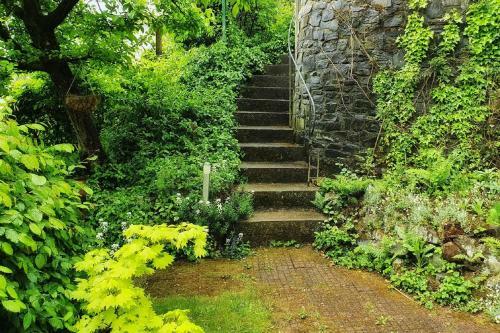 Apartamentos Ferienwohnung Am Atelier Horn