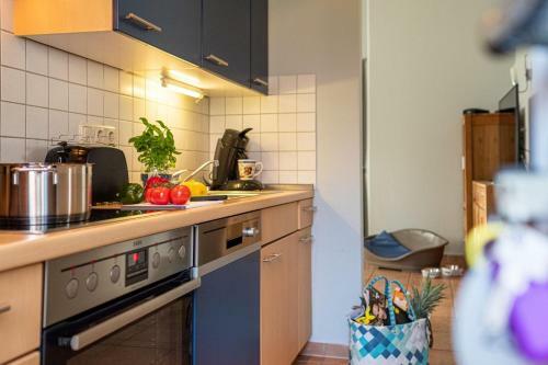 Ferienhaus Seeb�r