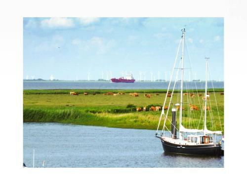 Apartamentos G�teborg