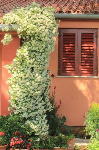 Agroturismo Country Home Milojevic