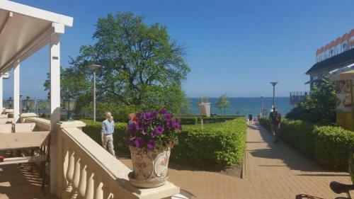 Apartamento 2 Raum Whg. Kresse Mit Terasse
