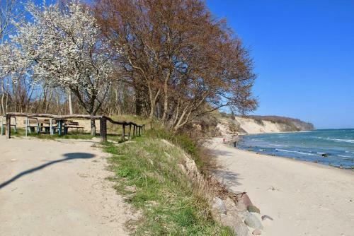 Haus Seestern Mit Strandkorb Inkl