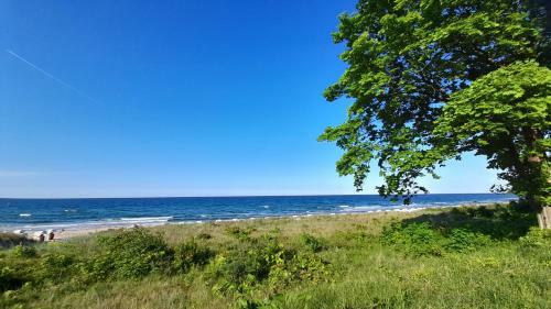 Apartamento Strandvilla Merva