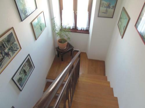 Apartment Noemi