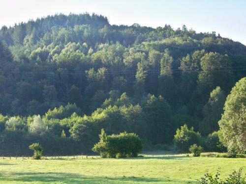 Bed & Breakfast Domaine De La F�e-licit�
