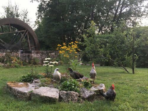 Bed & Breakfast Le Moulin De Razou