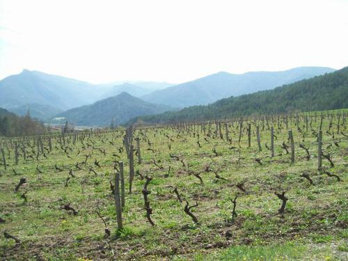 Bed & Breakfast Le Vin De L'et�