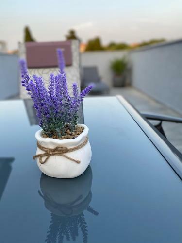 Apartamento Villa Maleo