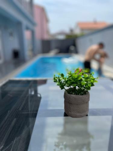 Apartamento Villa Maleo