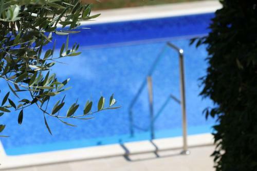 Villa Premantura Olive Garden