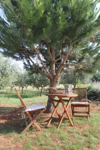 Villa Premantura Olive Garden