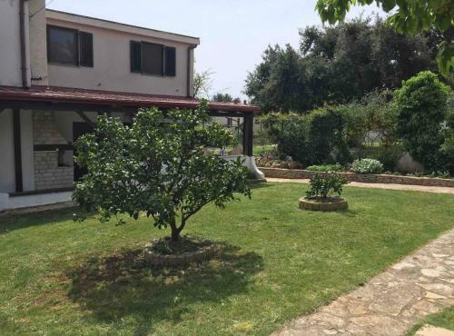 Holiday House Ma?ek
