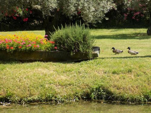C�t� Cour, C�t� Jardin