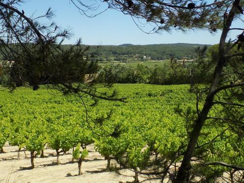C�t� Cour, C�t� Jardin