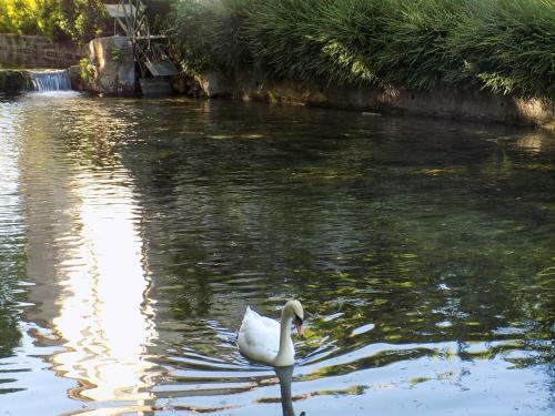 C�t� Cour, C�t� Jardin