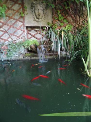 Bed & Breakfast Casa Montes