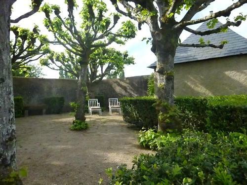Hostal Gite Du Manoir Du Plessis- 3km De Villandry