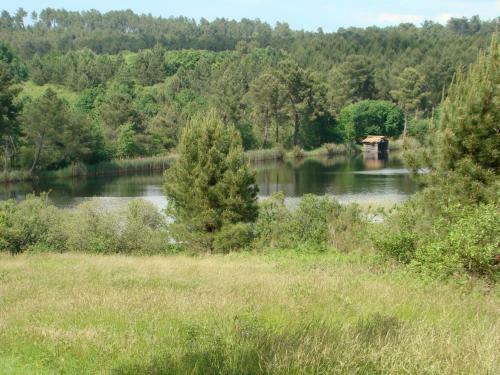 Bed & Breakfast La Musardi�re