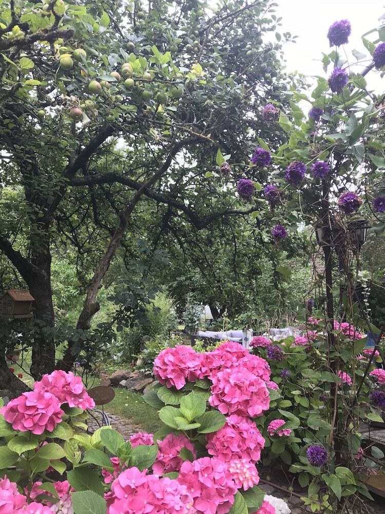 Bed & Breakfast Le Jardin De L'ill