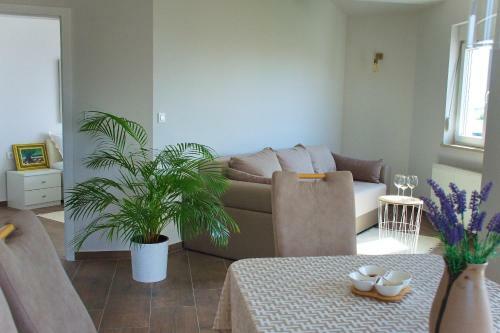 Retro & Fancy Apartments Lld
