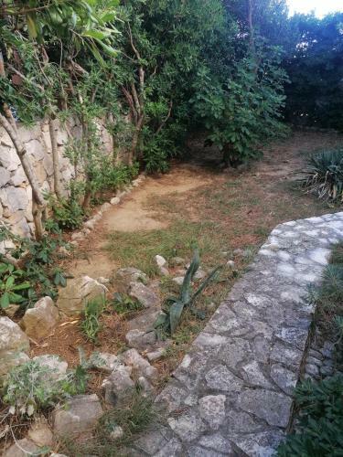 Novalja Gajac Zrce, Apartment Garden