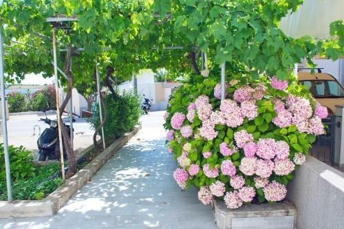 Apartamento Guesthouse " Katini Dvori "