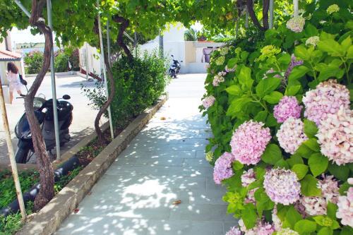 Apartamento Guesthouse " Katini Dvori "