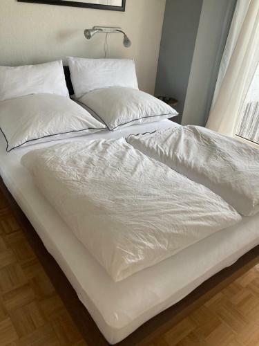 Apartamento Tor Zum Pf�lzerwald