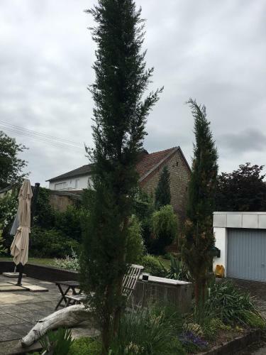Apartamento Tor Zum Pf�lzerwald