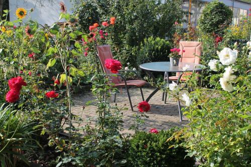 Apartamento No. 73 - Idylle Im Rebenmeer