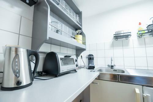 Apartamento Pirna-schlossblick
