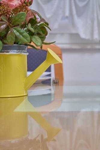 Apartamento M Entire Floor In A Spacious House With Pool