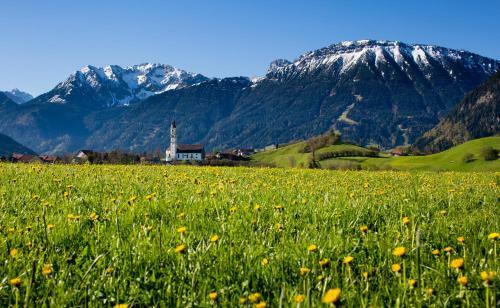 Apartamentos Alpenstern Ferienwohnung