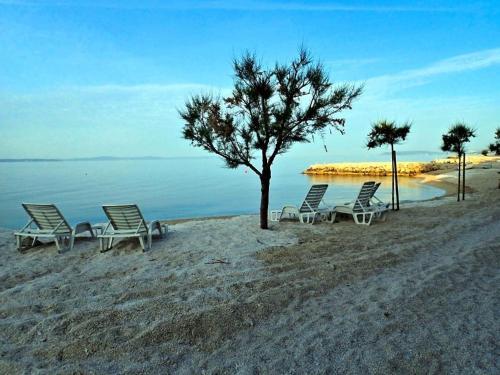 Apartamento Sea View, Forest And Olives Surrounding