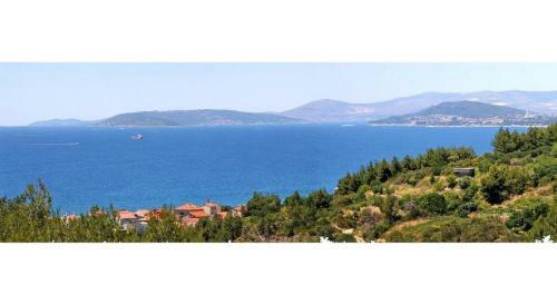 Apartamento House Carso Olea