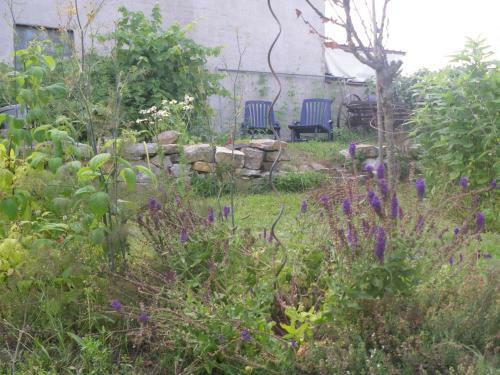 Apartamento Drahtesel Oase