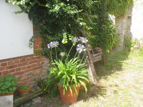 Apartamento Drahtesel Oase