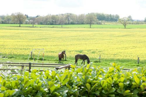 Agroturismo Ferienwohnung Schoene Aussicht