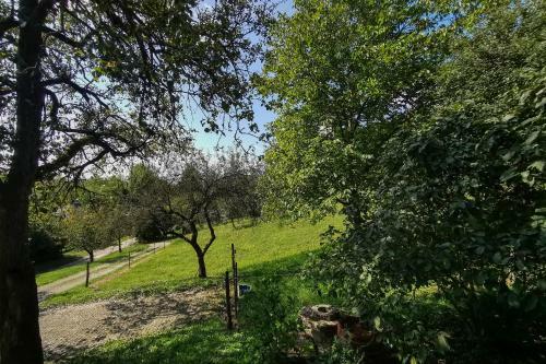 Apartamento Lipics Part