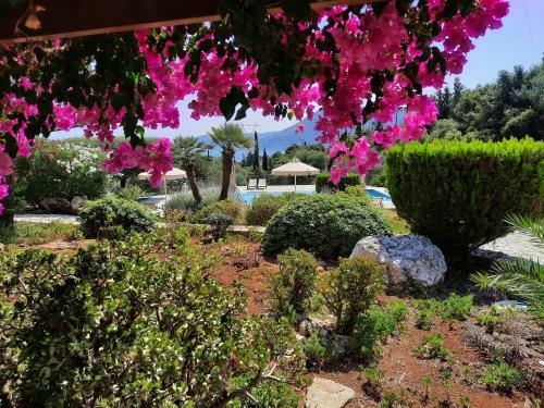 Agroturismo Panorama Apartments Fiscardo