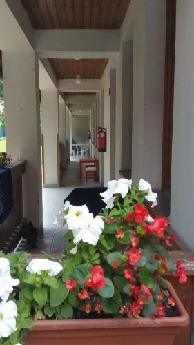 Hostal �l? Tisza Vend�gh�z