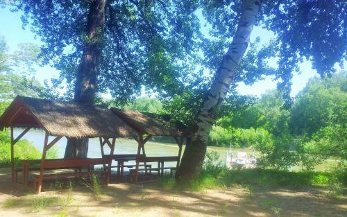 Hostal �l? Tisza Vend�gh�z