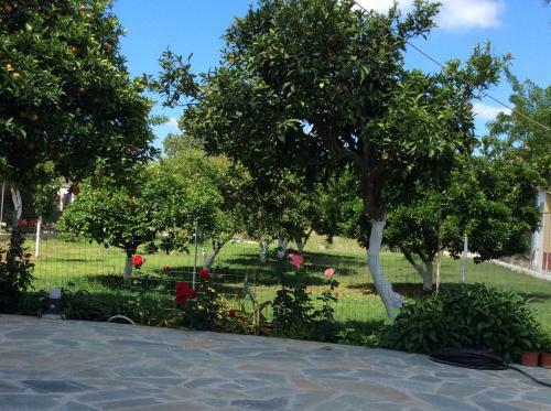 Apartamento Kardiakafti Village