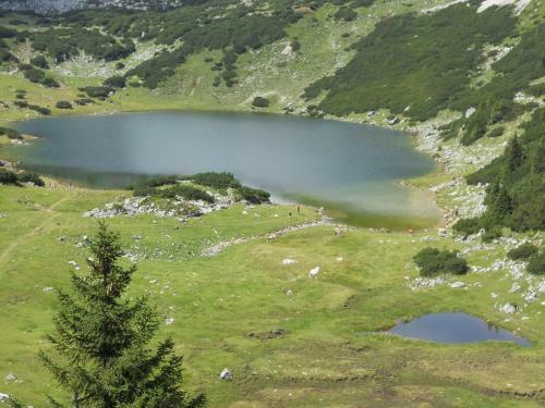 Hostal Landgasthof Pfarrwirt