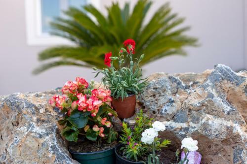 Villa Nightingale Luxury Suites Corfu