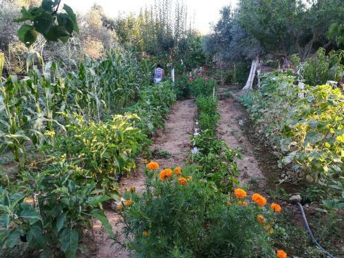 Bio Garden Stonehouse